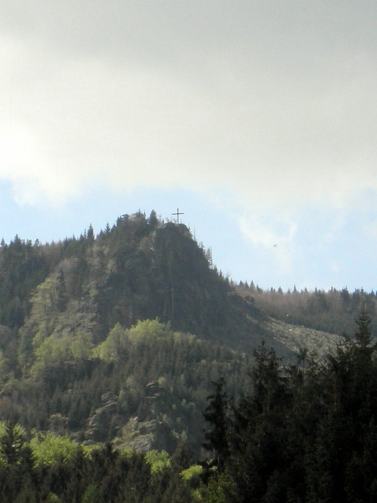 P5090005.JPG