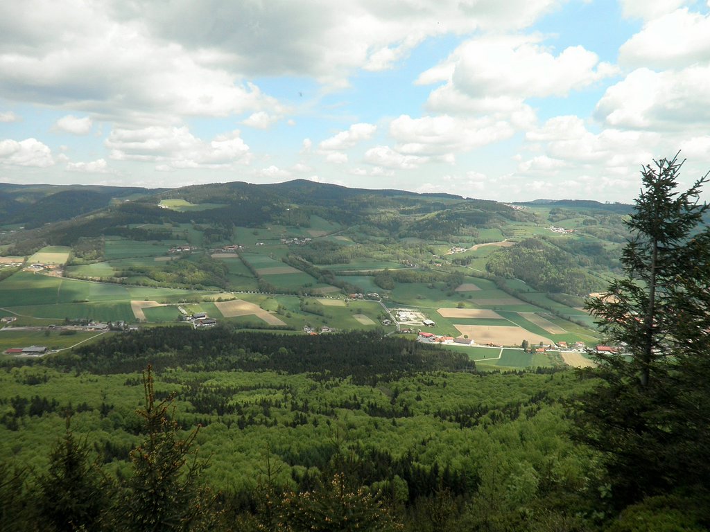 P5090021.JPG