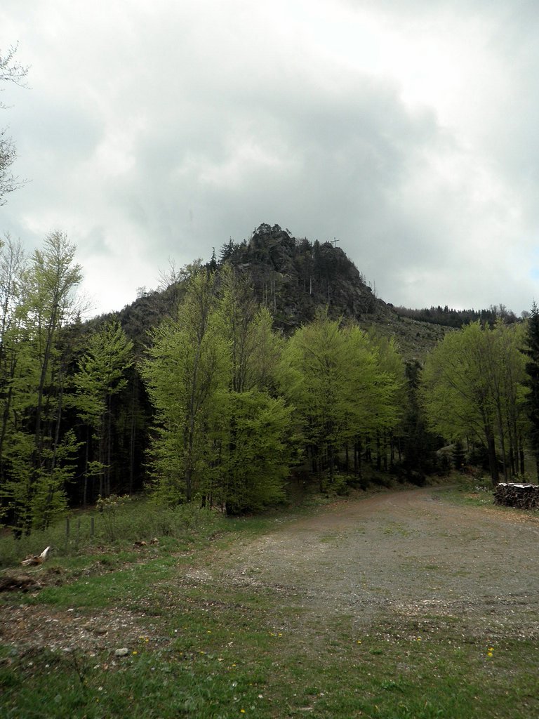 P5090023.JPG