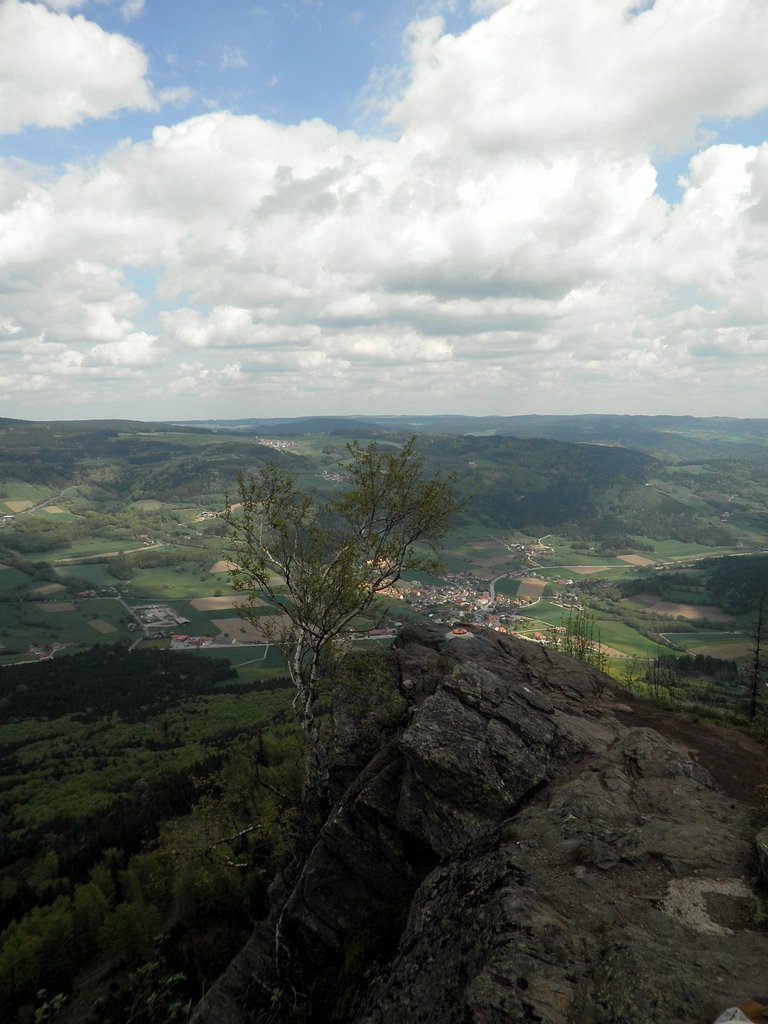 P5090029.JPG