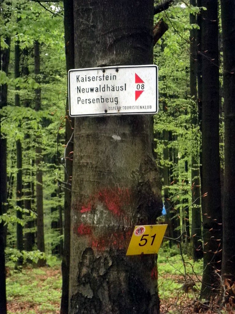 P5090046.JPG