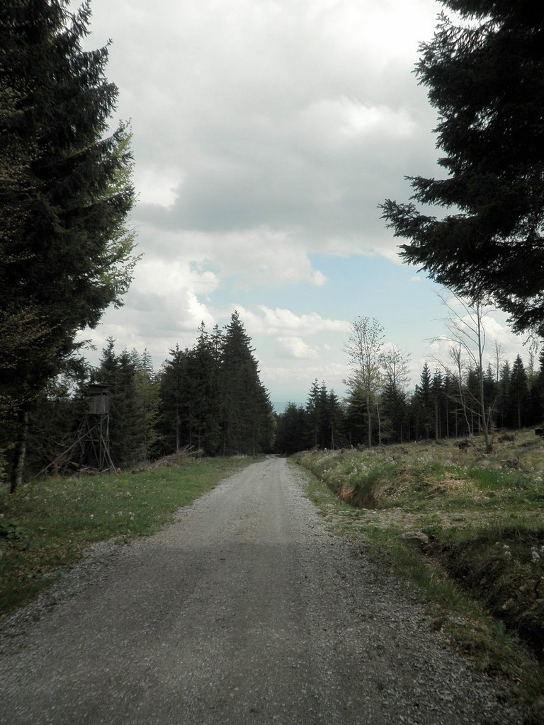 P5090053.JPG
