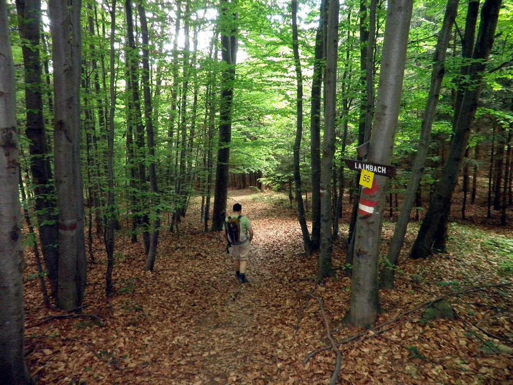 P5090069.JPG