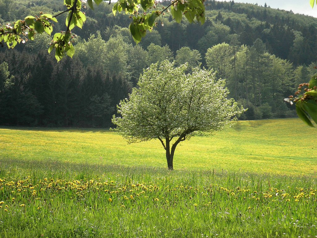 P5090080.JPG