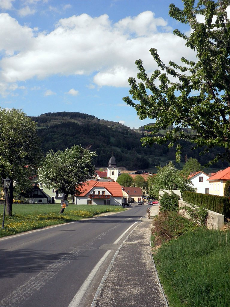 P5090085.JPG