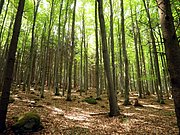P5090007.JPG
