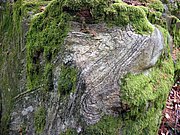P5090011.JPG