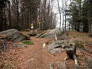 P5090035.JPG