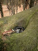 P5090036.JPG