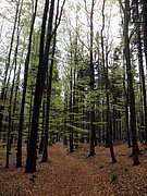 P5090044.JPG