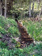 P5090054.JPG