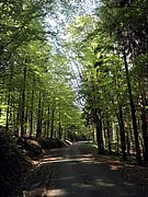 P5090057.JPG