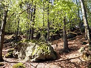 P5090062.JPG