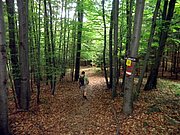 P5090069.JPG