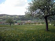 P5090074.JPG