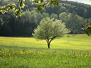 P5090080.JPG