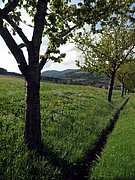 P5090081.JPG