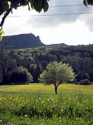 P5090083.JPG