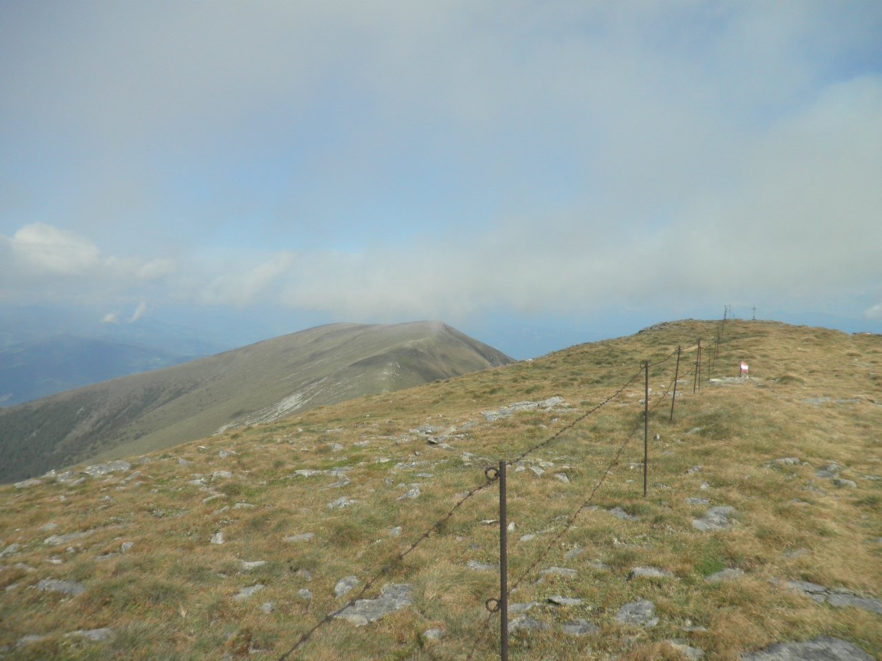 P9030044.JPG