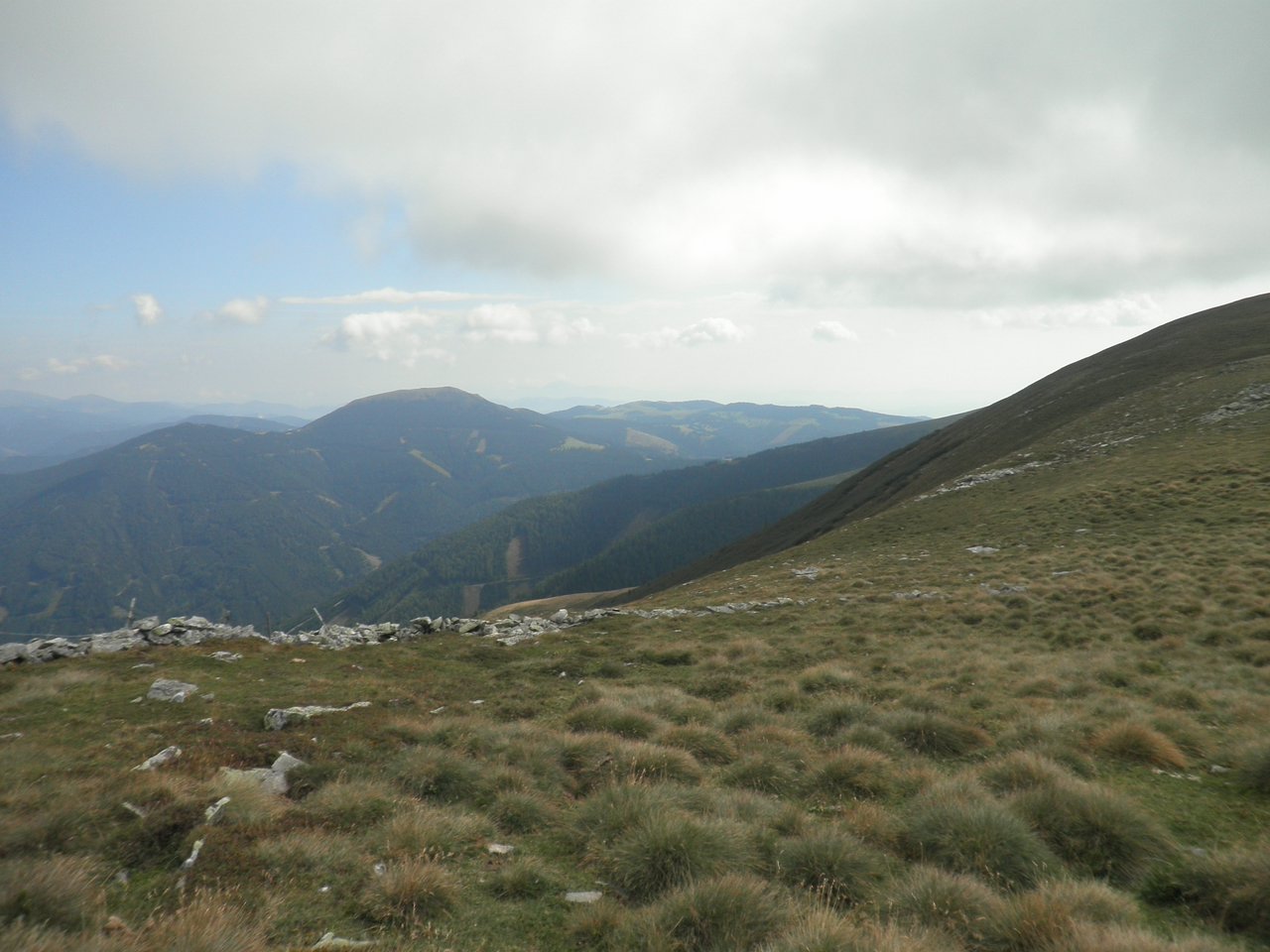 P9030057.JPG