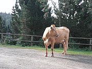 P9030002.JPG