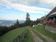 P9030005.JPG