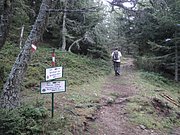 P9030008.JPG