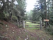 P9030009.JPG