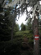 P9030011.JPG