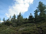 P9030015.JPG
