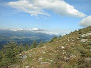 P9030020.JPG