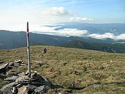 P9030021.JPG