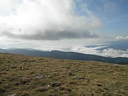 P9030025.JPG