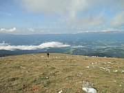 P9030026.JPG