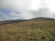 P9030027.JPG