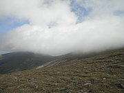 P9030029.JPG