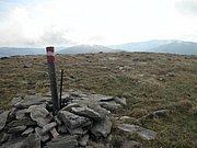 P9030031.JPG