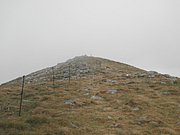 P9030038.JPG