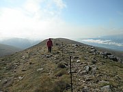 P9030040.JPG