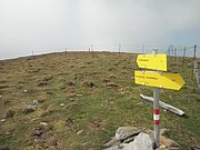 P9030046.JPG