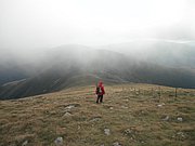 P9030049.JPG