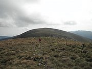P9030053.JPG