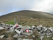 P9030055.JPG