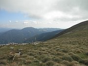 P9030057.JPG