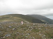 P9030069.JPG