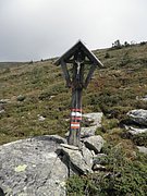 P9030078.JPG