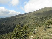P9030079.JPG