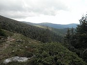P9030082.JPG
