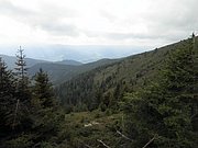 P9030083.JPG