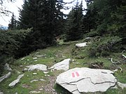 P9030087.JPG